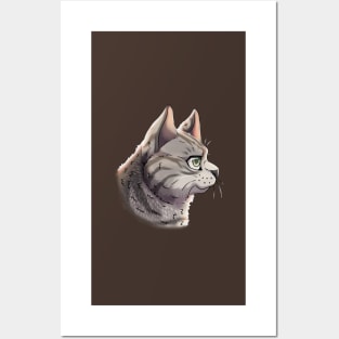 Silver Tabby British Shorthair Side Portrait Posters and Art